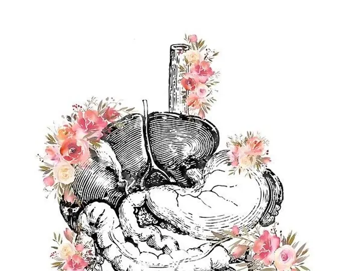 Abdomen je vir Življenja