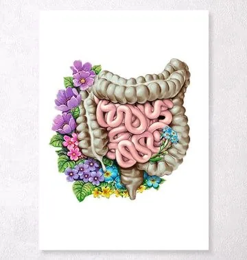 Abdomen je vir Življenja
