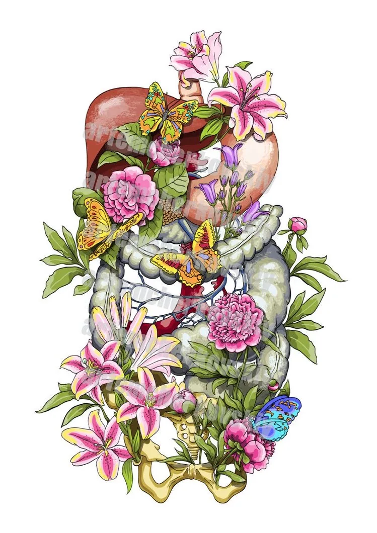 Abdomen je vir Življenja