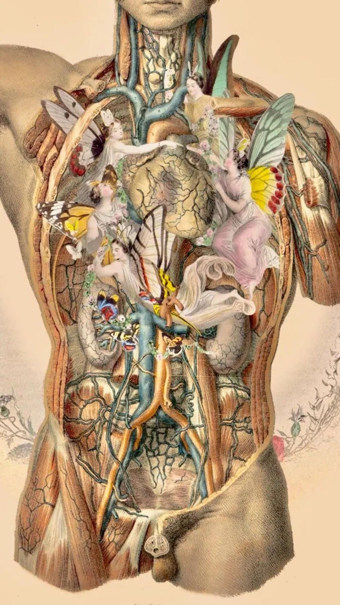 Abdomen je vir Življenja