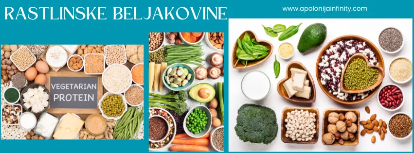 Beljakovine v tradicionalni kitajski medicini – razstrupljanje, ravnovesje in prehrana po TKM skozi letne čase